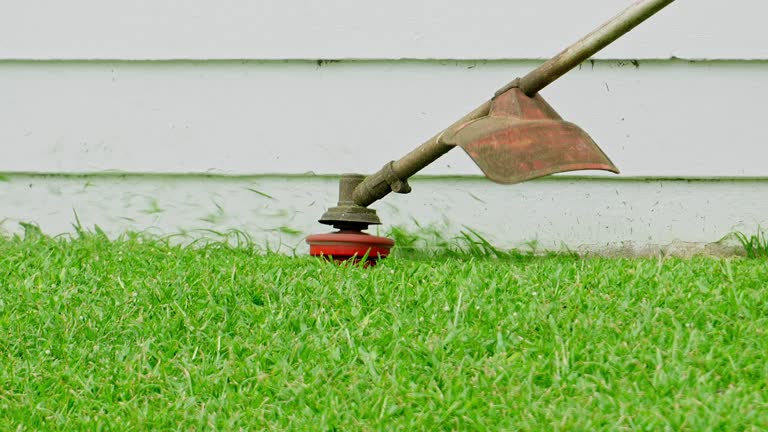  Columbia Heights, MN Tree Services Pros
