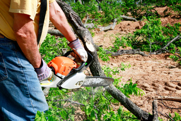 Landscape Design and Installation in Columbia Heights, MN